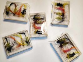 20x Trockenfliegen Angeln / mouche seche / mosche secche
