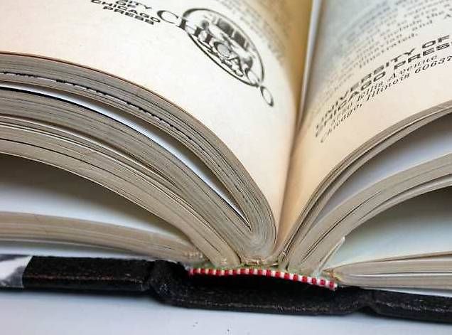 Libri: Science Zeitschrift in Buchform Buchbinderei Handwerk – Nuovo (secondo la descrizione) da Hinterkappelen venduto da atomschnee