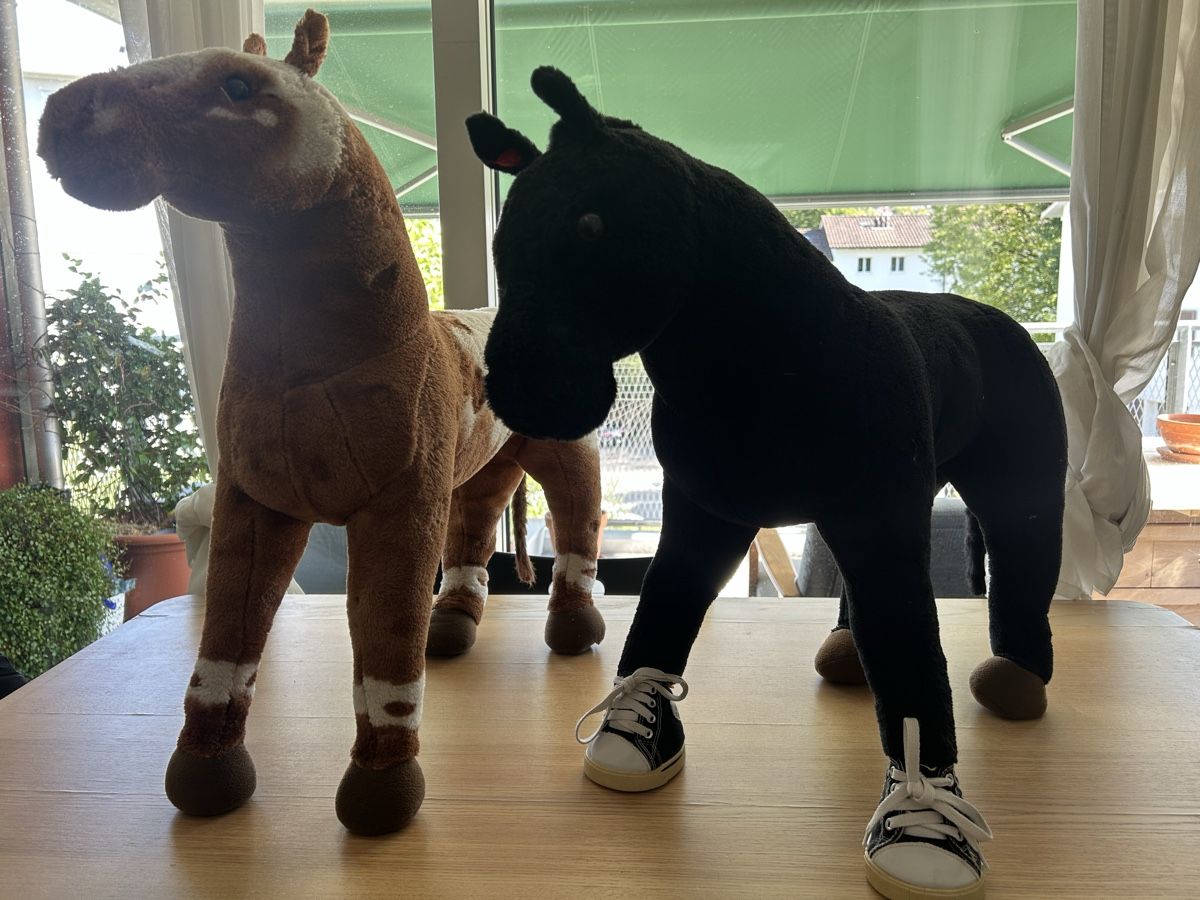 Giocattoli: Cavalli per bambini dai 4 anni  – Usato da Zürich venduto da Clod84