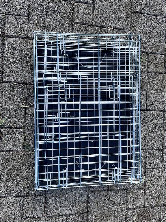 Cages, transport & sécurité: Hundebox  – D'occasion à Niederhasli par JUPOGI 3