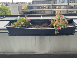 4x Blumenkästen mit Aufhängung