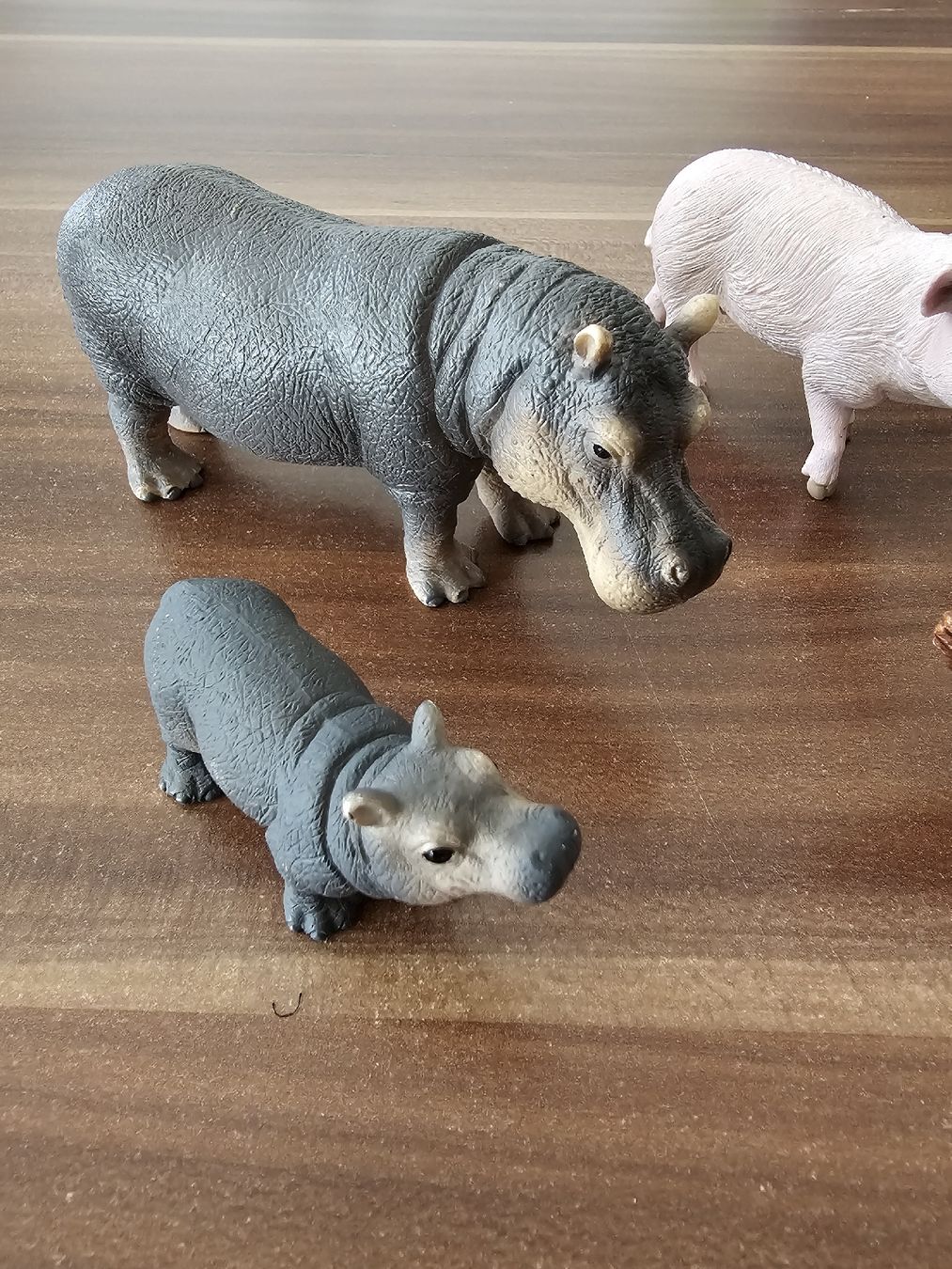 Schleich Statuette: diverse Schleich Tiere – Usato da Bütschwil venduto da Taranabo 2
