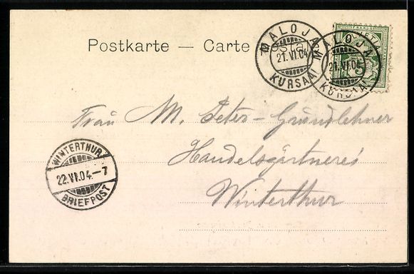 Cartoline postali: Samaden, Ortsansicht und Berninagruppe,  – Usato da Berlin venduto da bartko-reher 1