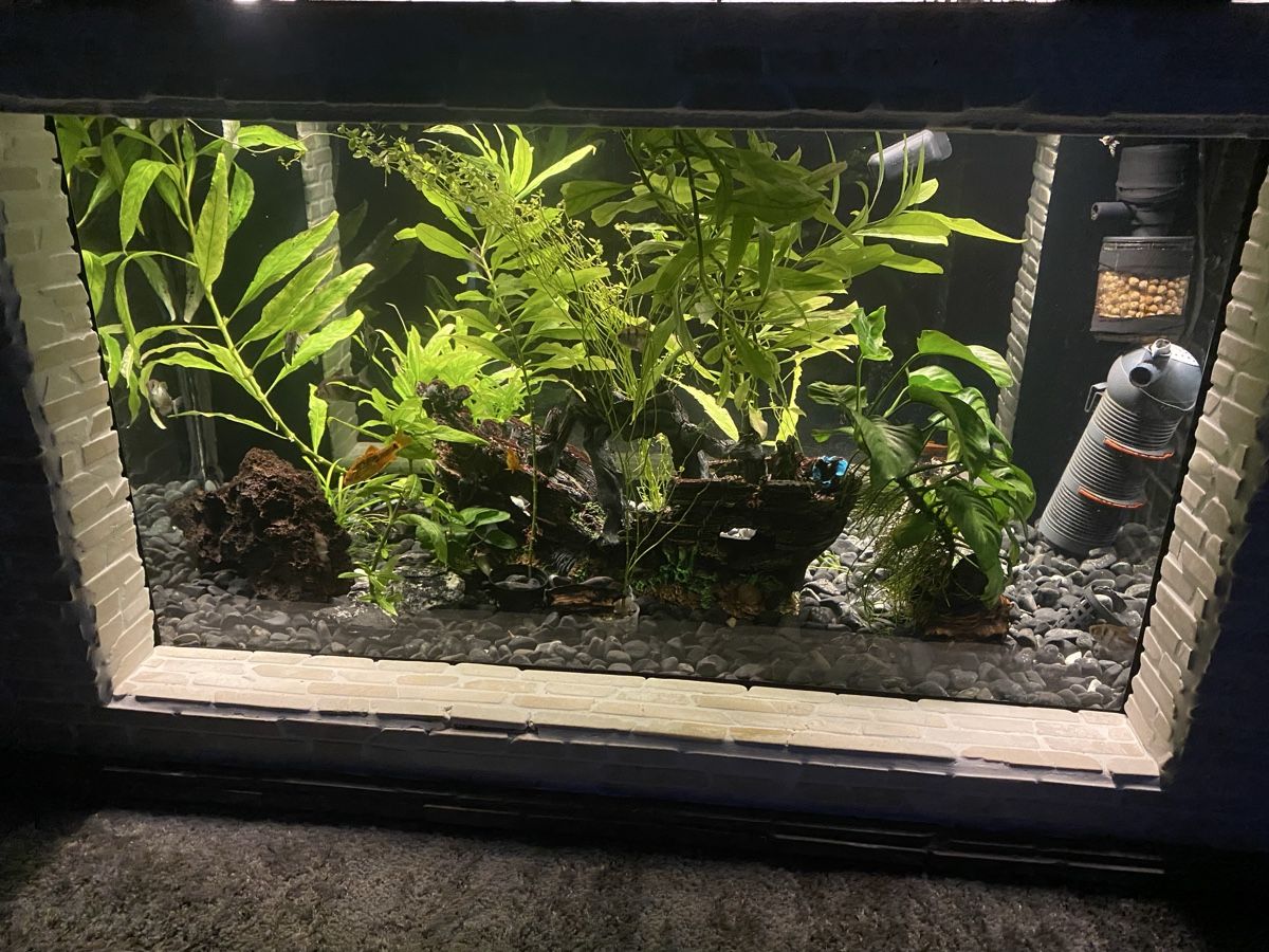 Aquarium: Aquarium Tisch Natur Steine – Neu (gemäss Beschreibung) aus Kaltbrunn von la77
