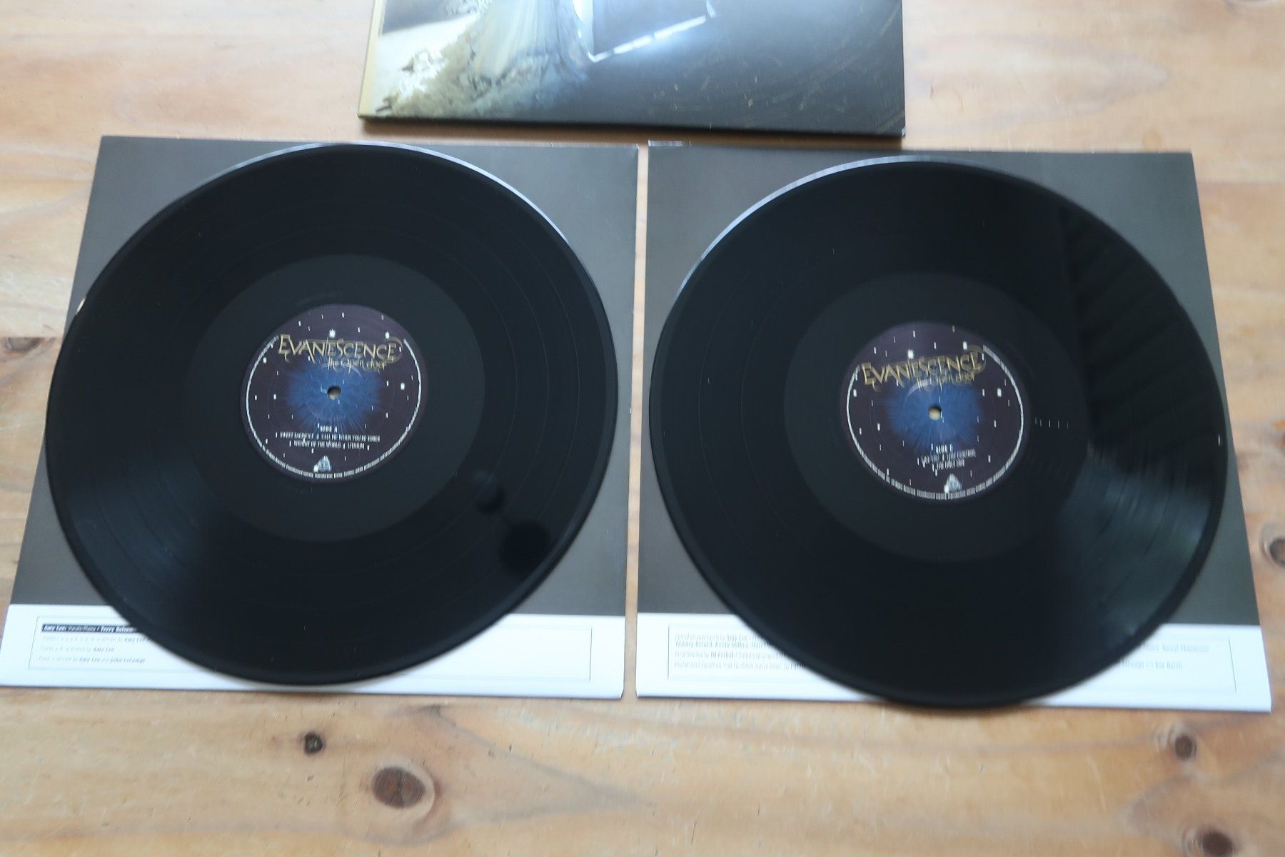 Dischi in vinile: EVANESCENCE - THE OPEN DOOR - 2x VINYL LP – Usato da Basel venduto da Patiscat 3