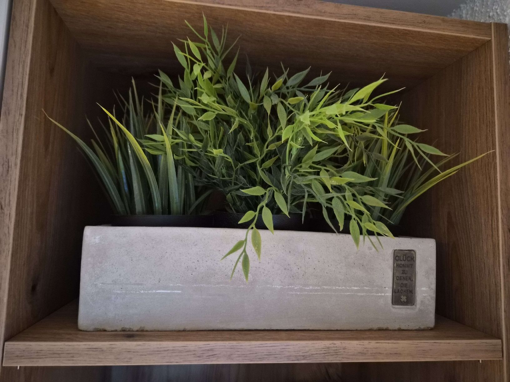 Alle Dekorationen: Artificial Plant in Concrete Pot – Gebraucht aus Maur von Sofi___