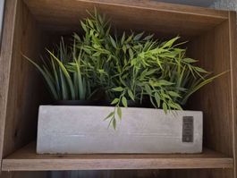 Artificial Plant in Concrete Pot