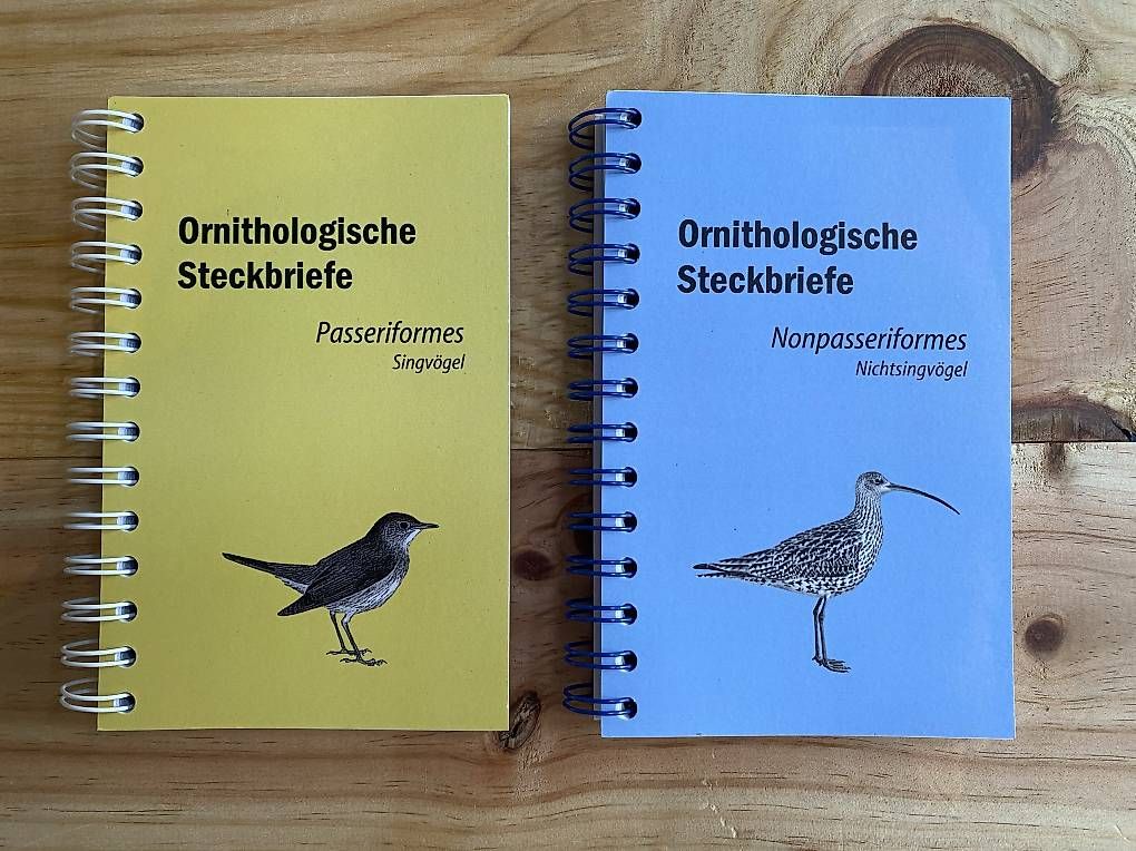 Tous les timbres: Ornithologische Steckbriefe – Neuf avec emballage d'origine à Buchs AG par tam_k2nj