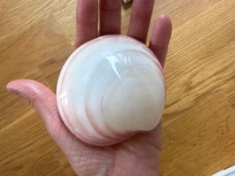 Zwei Muscheln weissrosa rund wunderschön!