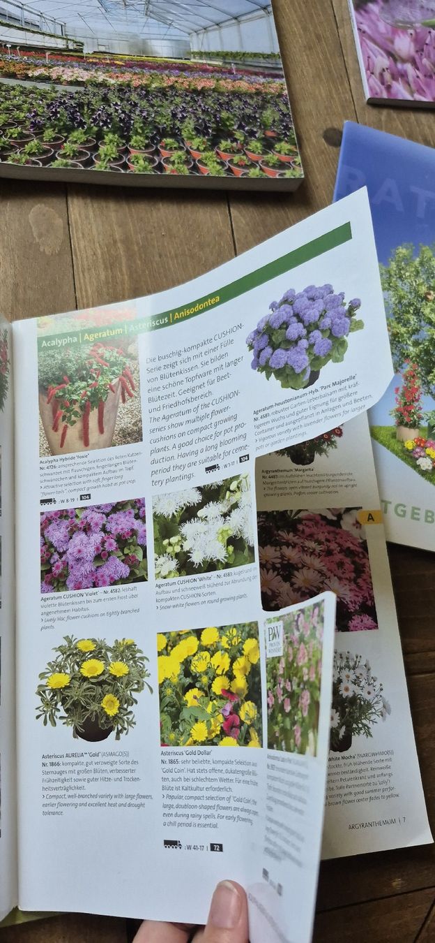 Libri: Kientzler Garten '24 Katalog – Usato da Luzern venduto da 365mal 3