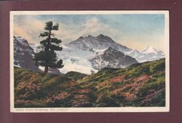 KLEINE SCHEIDEGG - Jungfrau - 1930