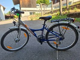 Mountainbike Wheeler blau silber