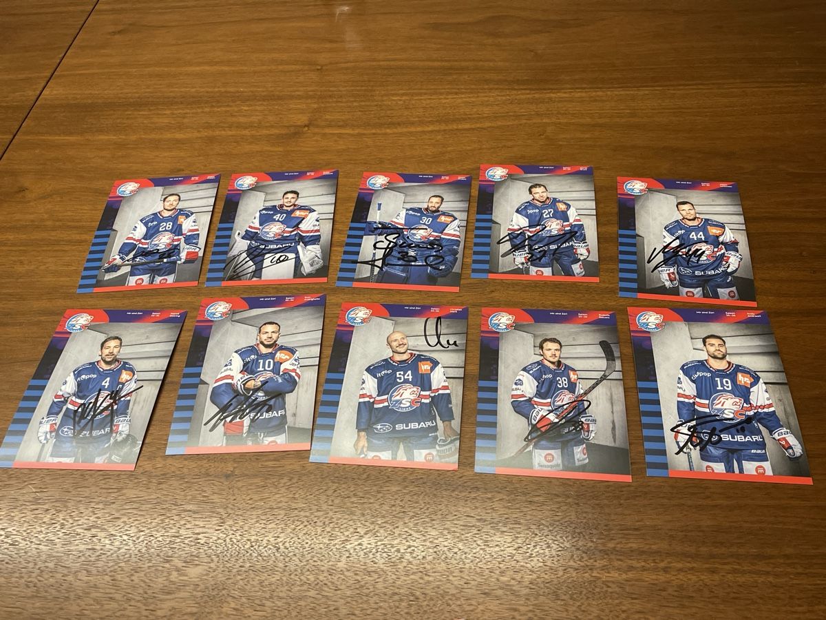 Autografi: ZSC Autogramm Karten Saison 25-26 – Nuovo (secondo la descrizione) da Samstagern venduto da Katinka8 1