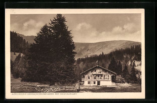 Cartoline postali: Adelboden, Restaurant Schermtanne von A. – Usato da Berlin venduto da bartko-reher