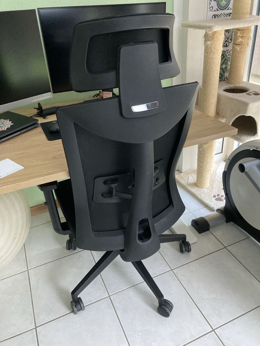 Sedie: Chaise de bureau ergonomique – Usato da Bramois venduto da rey_xy87