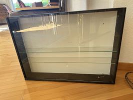 Kleine Vitrine zum an die Wand hängen 