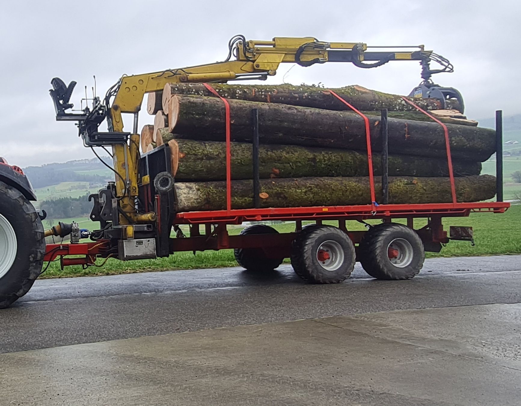 Gru: Rückewagen – Usato da Triengen venduto da leon133 2