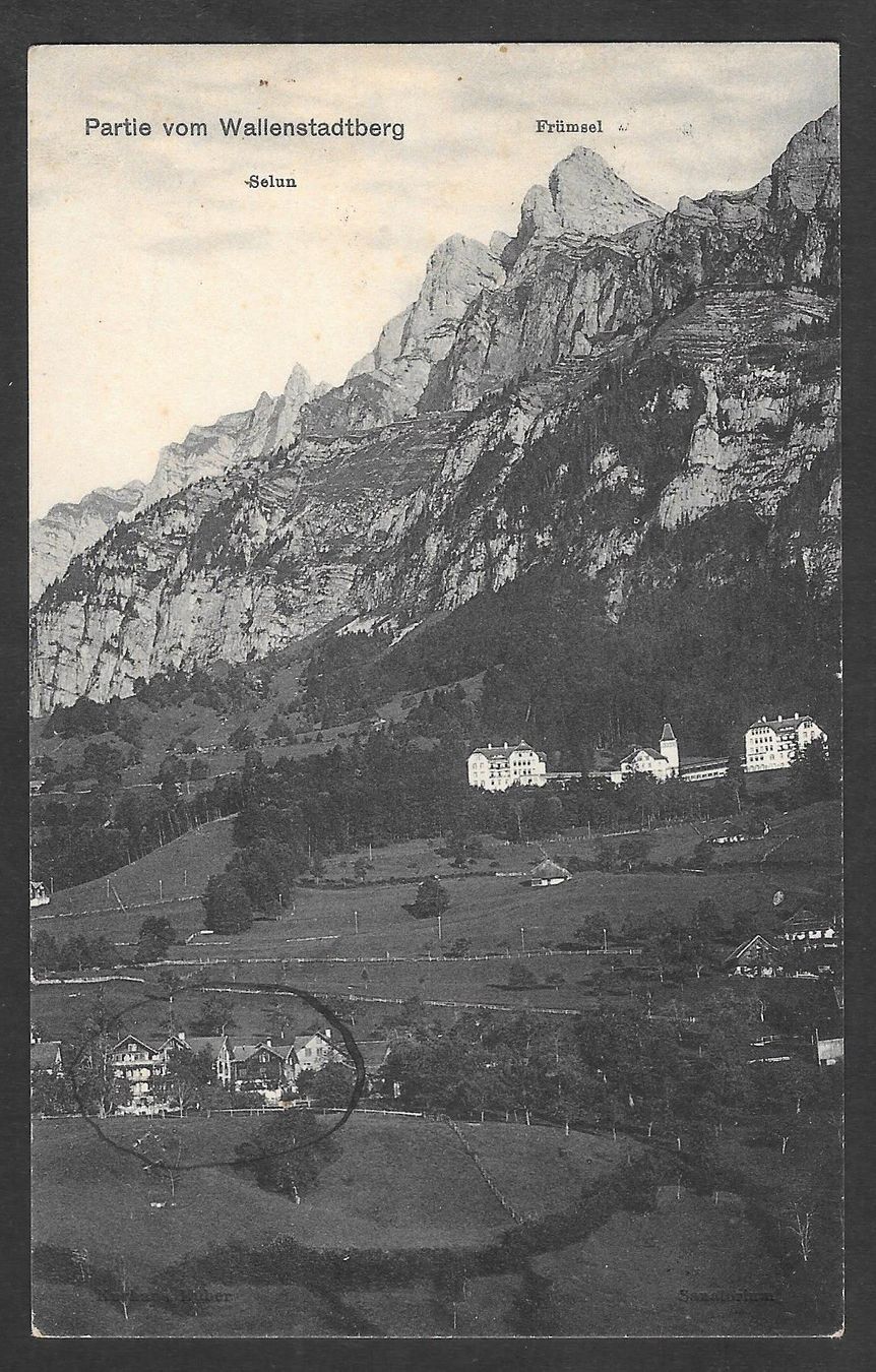 Cartoline postali: Partie vom Walenstadtberg – Usato da Olten venduto da clotaldi