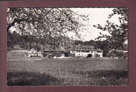 ST. PETERSINSEL - Restaurant Fam Stämpfli-Dubach - 1964