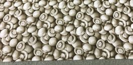 STOFF CA.185X115CM NEU