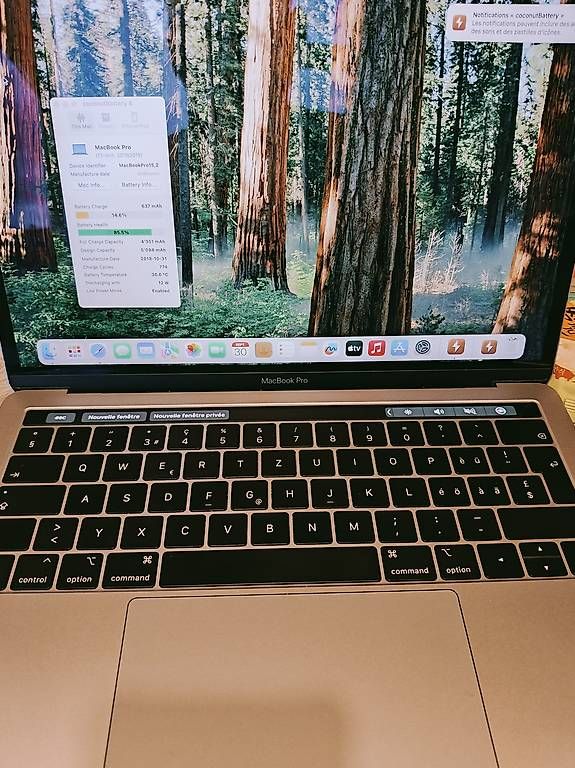 Notebook: Macbook Pro 2018 i5 8e batterie 85% – Usato da La Chaux-de-Fonds venduto da Honit
