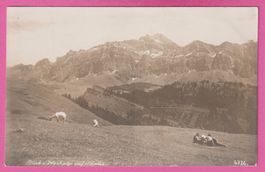 Blick von Hochalp auf Säntis belebt