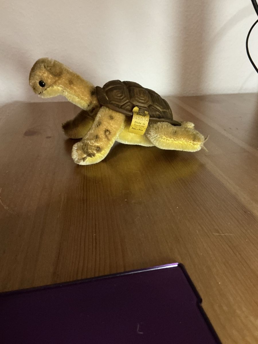 Steiff Giocattoli: Steiff Sol ( Schildkröte) – Usato da Basel venduto da S.Wehrli72 1