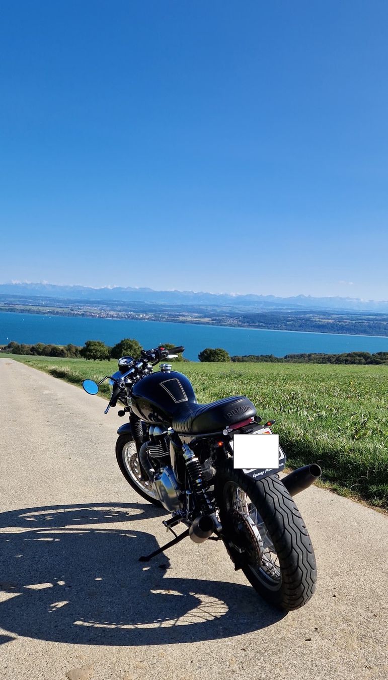 Triumph Strasse: Triumph Thruxton 900 – Gebraucht aus Bern von hcp2 4