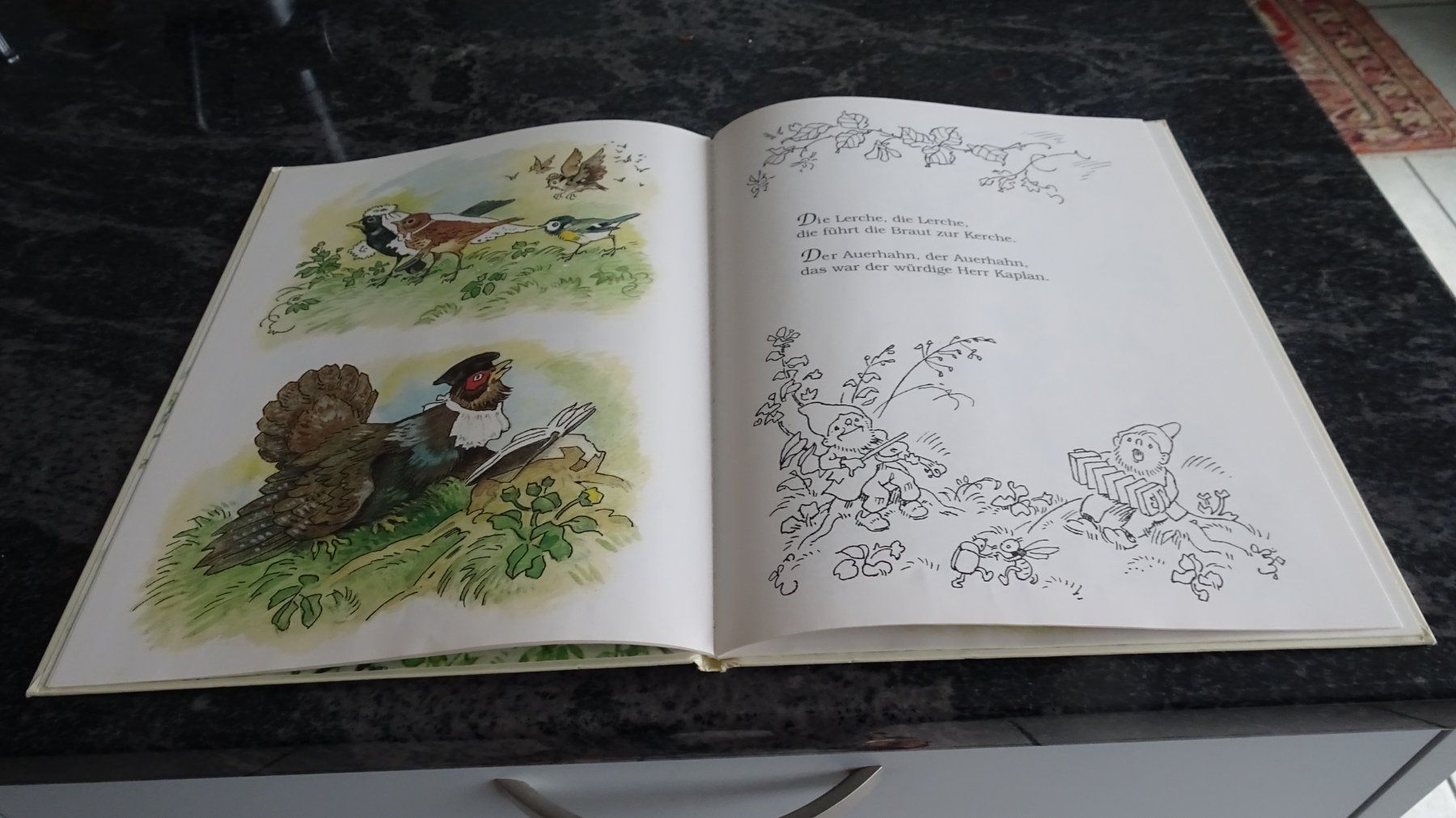 Bücher: Die Vogelhochzeit Eine Geschichte mit Bildern von F.Baumgart – Gebraucht aus Zürich von Roulet 6