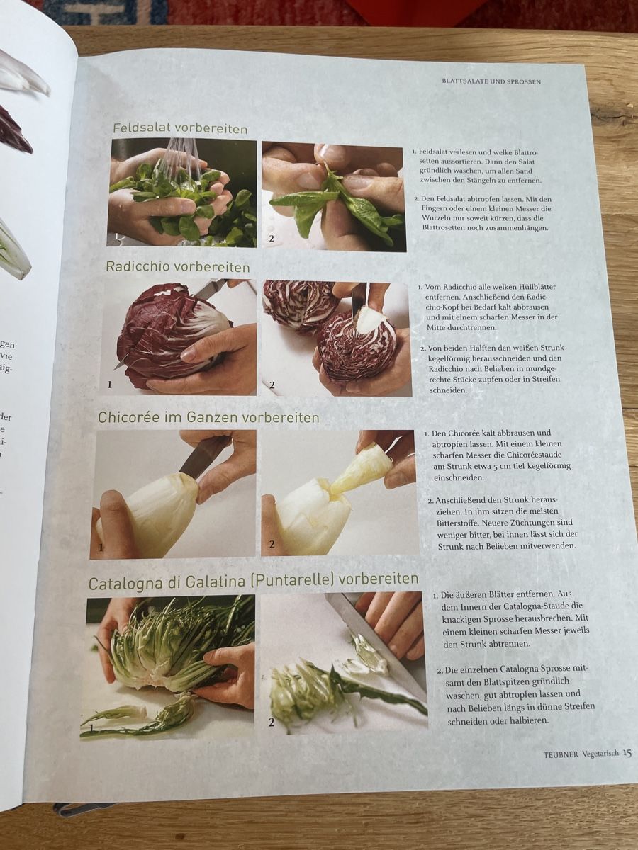 Libri: Kochbuch Teubner - Vegetarisch – Usato da Winterthur venduto da cheerio97 2