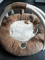 Baby-Spielnest / Activity Gym mit Spielbogen  neuwertig