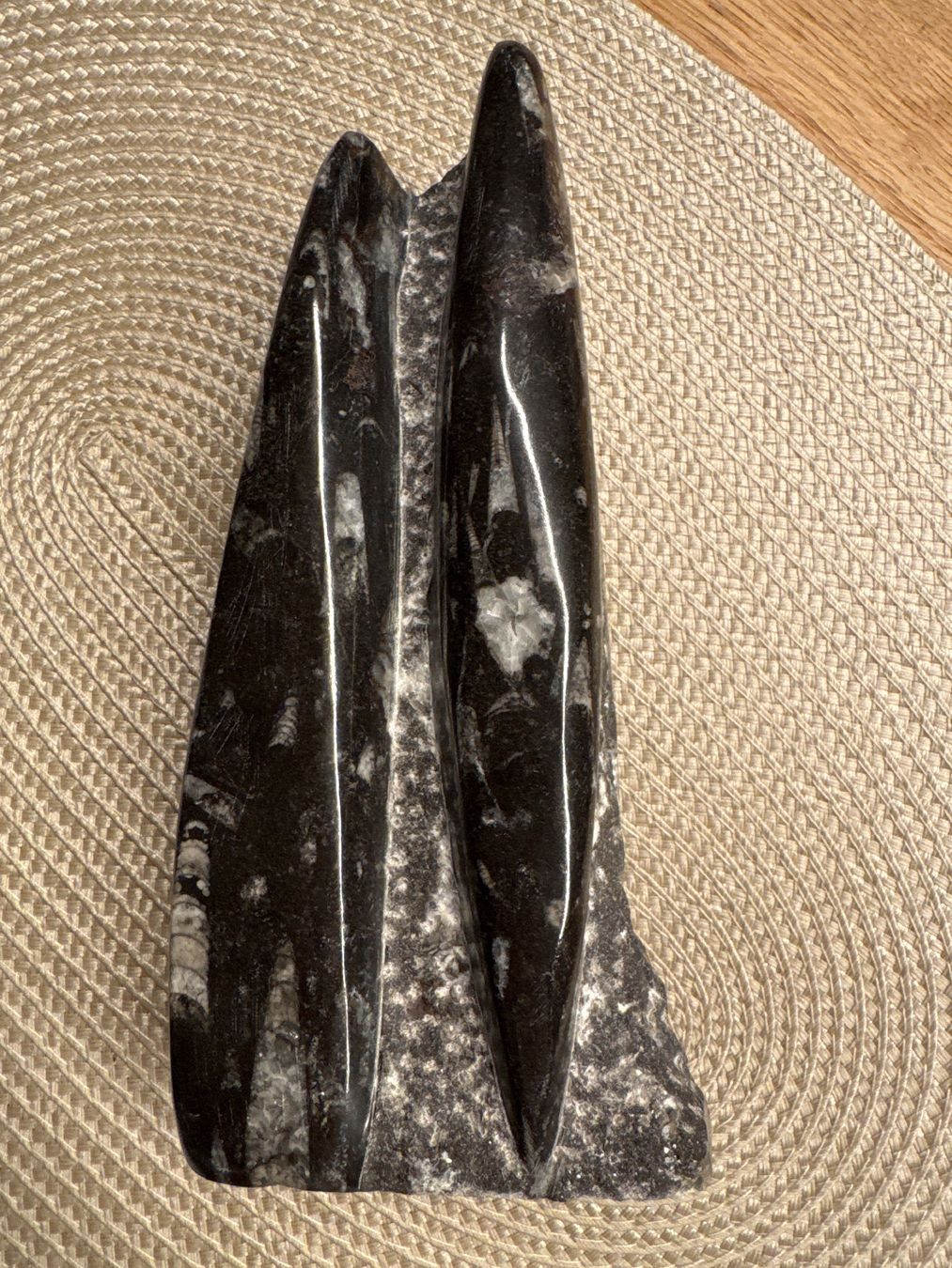 Fossili: Fossiler Tintenfisch Orthoceras aus Marokko, Devon Periode – Usato da Windisch venduto da Zeta2018 2