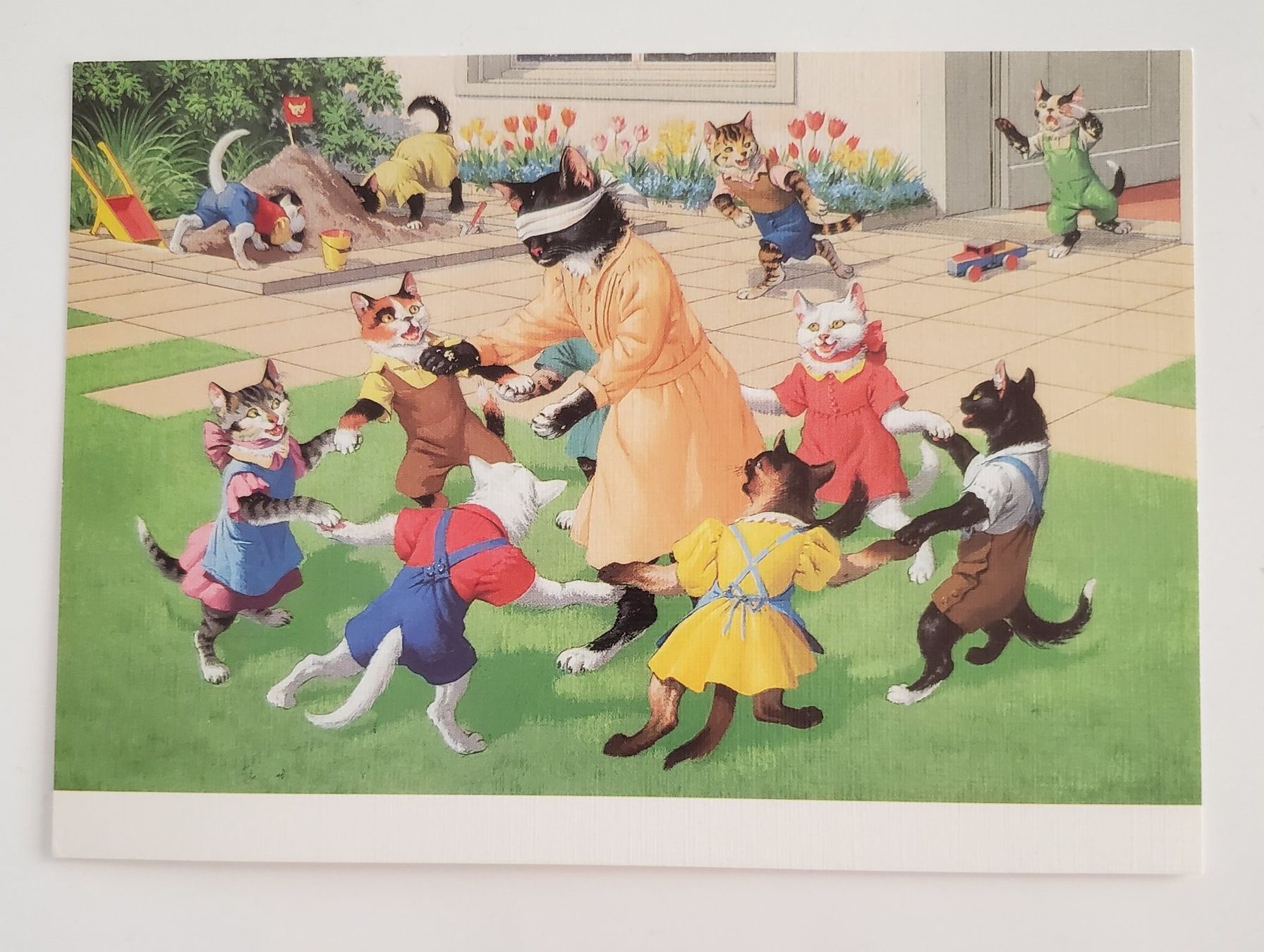 Cartoline postali: AK Katzen Katzenkarte Nr. 137 – Usato da Opfikon venduto da Diversamente