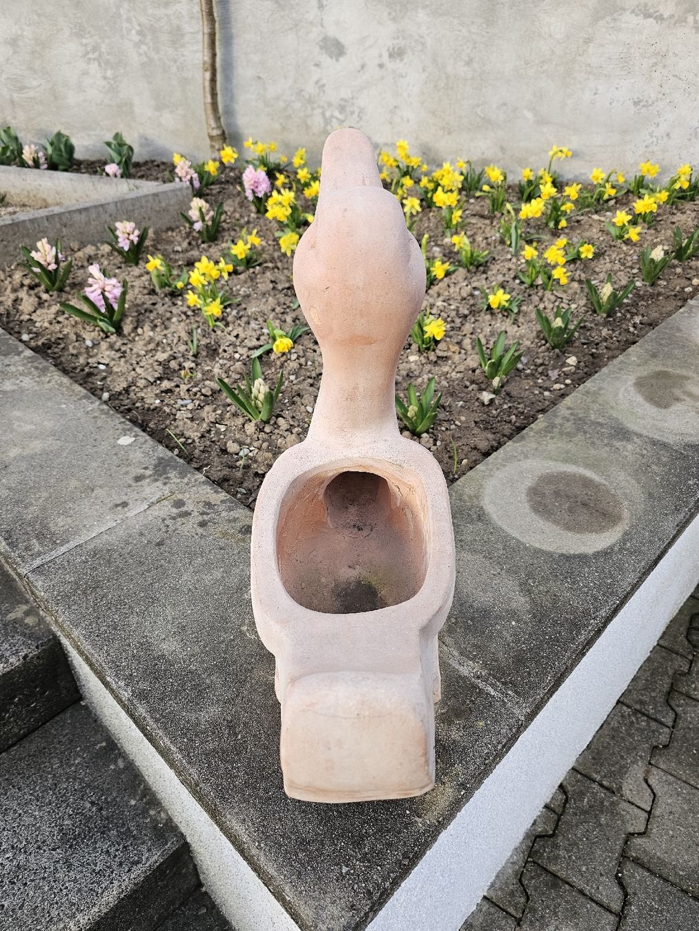 Vasi per fiori: Blumentopf Terracotta Schwan – Usato da Villnachern venduto da hasta08 4