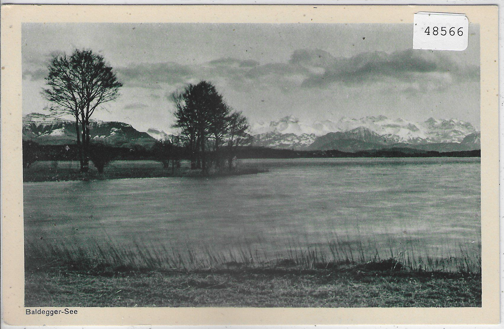 Cartoline postali: Baldegger-See und die Alpen – Usato da Ettingen venduto da Kartenplanet