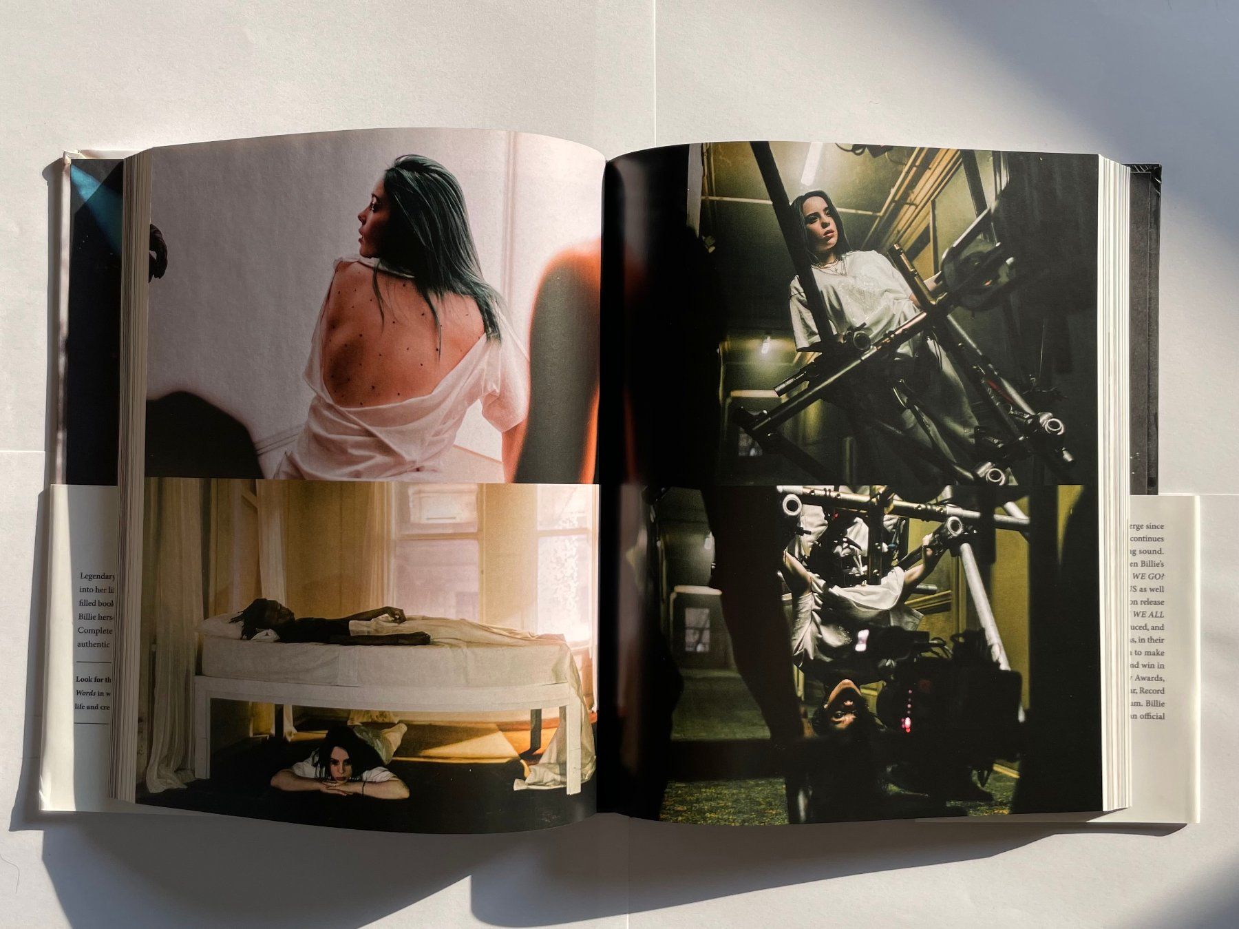 Libri: By Billie Eilish - Neuwertig Buch – Nuovo (secondo la descrizione) da Winterthur venduto da lil_bz5j 1