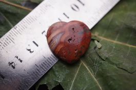 Jaspis Rot   Herz  ca2cm   inkl porto