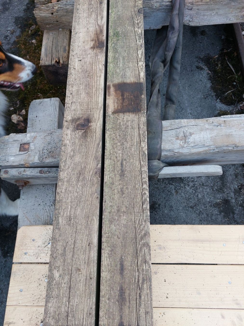 Articoli in legno: 2x Kannthölzer 0,10x0,7,5x 6 M – Usato da Landquart venduto da Tractospeed01 1