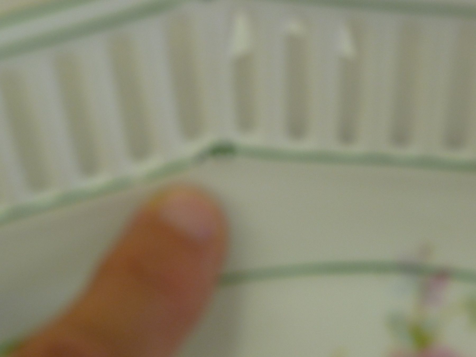 Ciotole: Durchbruchschale Schale Schumann – Usato da Rafz venduto da Powacaddy 5
