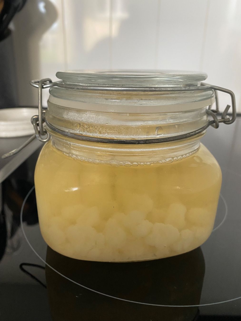 Cibi & Specialità: Wasserkefir – Nuovo (secondo la descrizione) da Zürich venduto da s.w.t.
