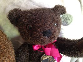 Teddy BENNI von Althans sucht Zuhause... 🐻
