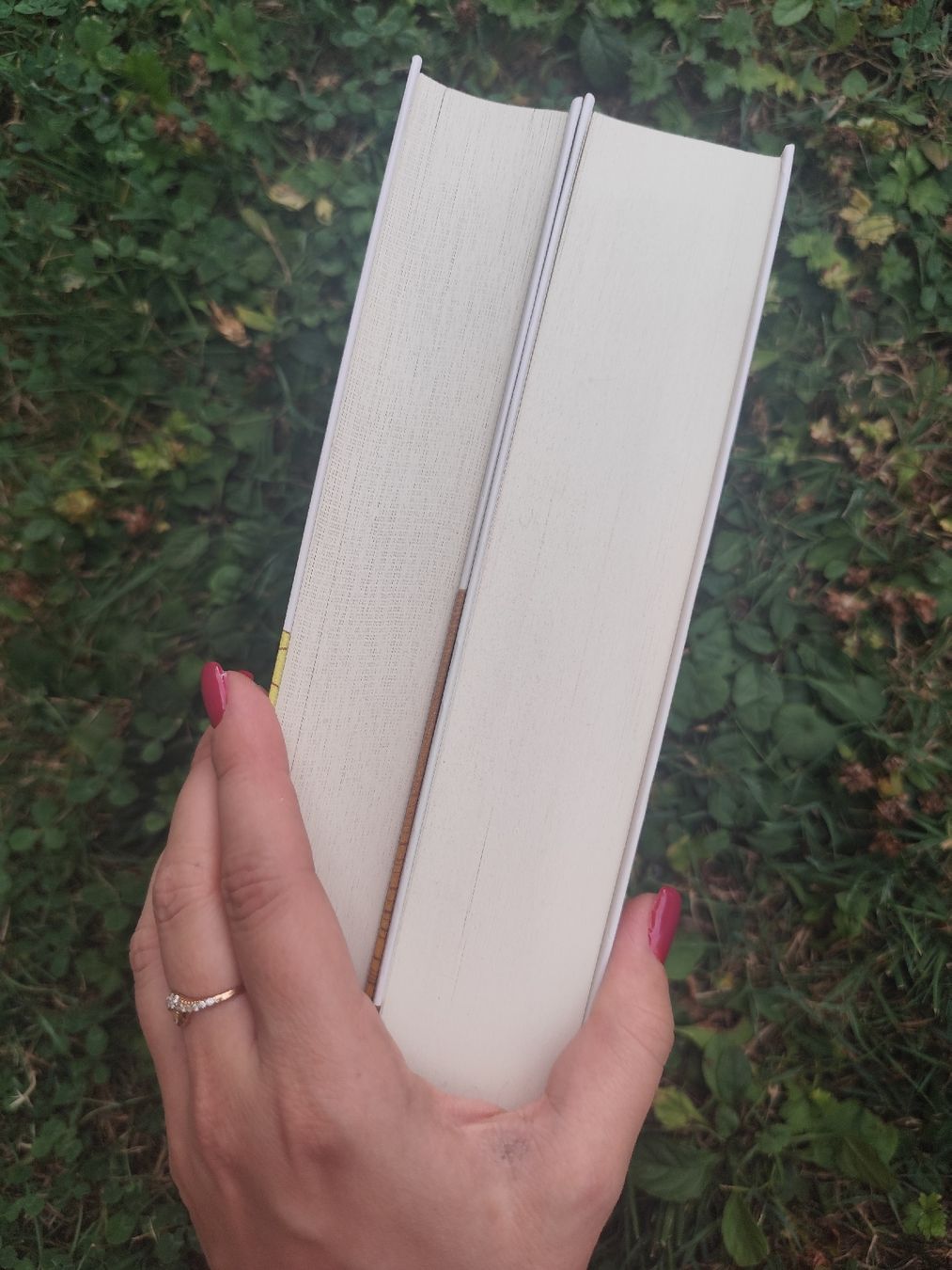 Bücher: Homer Odyssee Ilias – Gebraucht aus Mägenwil von VintageGirly 1