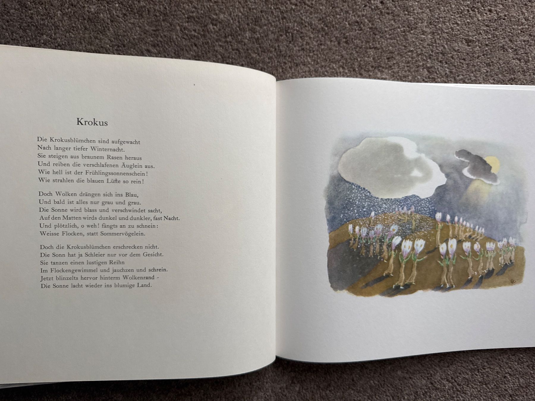 Bücher: Alpenblumenmärchen - Ernst Kreidolf – Gebraucht aus Aarau von Kilauea 3