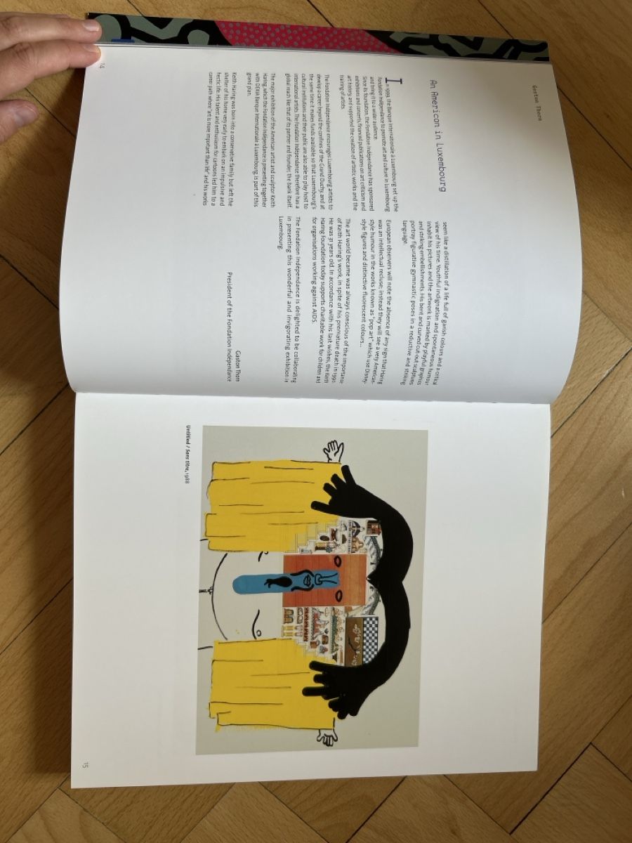 Livres: Keith Haring Buch guter Zustand – D'occasion à Zürich par ann_9fv5 1