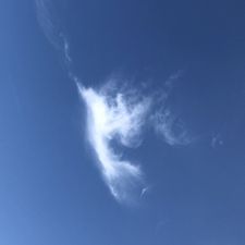 Profile image of Nnnn161