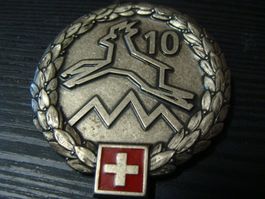 insigne de béret de la division de montagne 10
