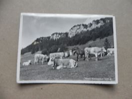 Karte Weissenstein SO Solothurn 1960 Wirschaft und Sennhaus