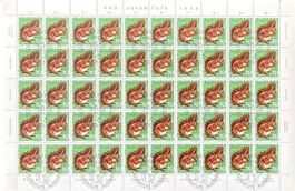 Schweiz PJ 1966 Vollbogen Eichhörnchen J193 Ersttagsstempel