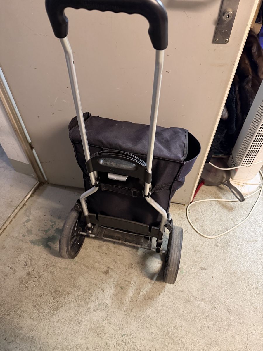 Altro per la casa: einkaufstrolly Nr 126 – Usato da Effretikon venduto da Effi0111 5