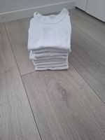 Sondenbodys